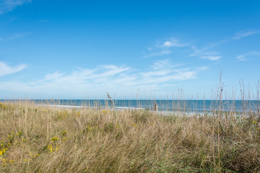 SP4B: Sea Pointe 4B | View From Dune