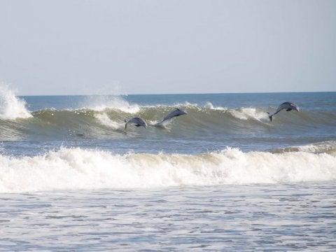 OBX Surf Cam Placed at Village Realty Rental