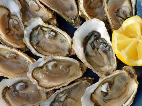 All About Outer Banks Oyster Season