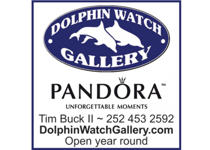 Dolphin Watch Gallery