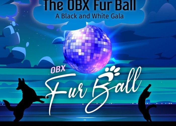 The Outer Banks Fur Ball