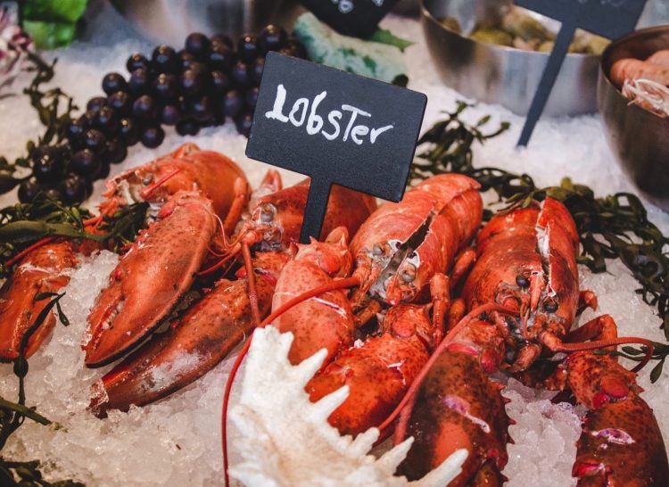 lobsters on ice at the market